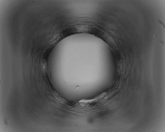 X0000097820329200803281127