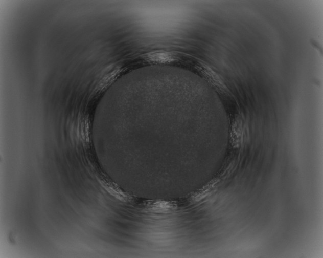 X0000097820330200803281127