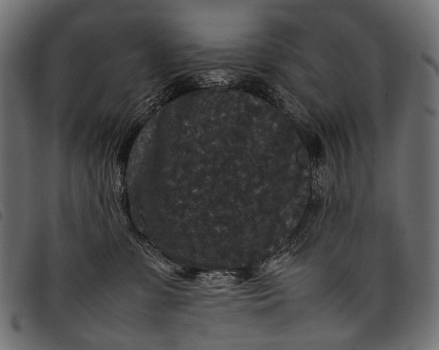 X0000097820331200803281127