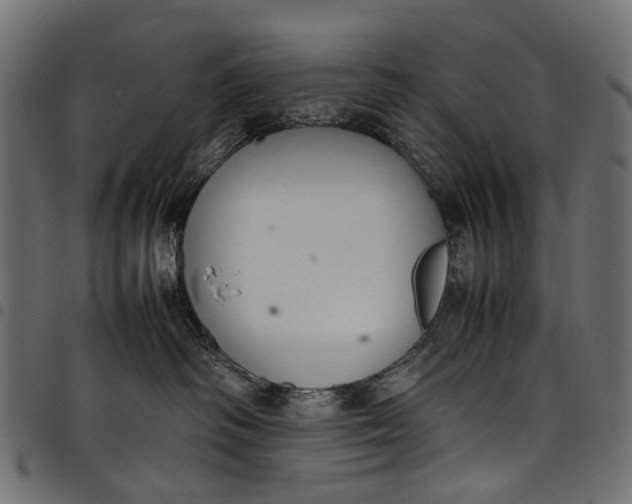 X0000097820334200803281127