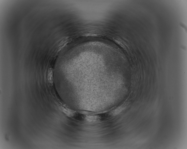 X0000097820336200803281126