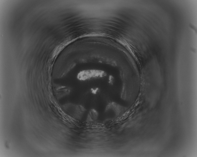 X0000097820337200803281126