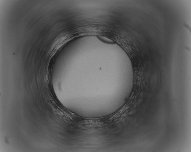 X0000097820338200803281126