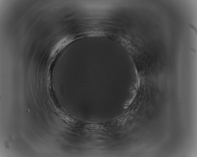 X0000097820339200803281126