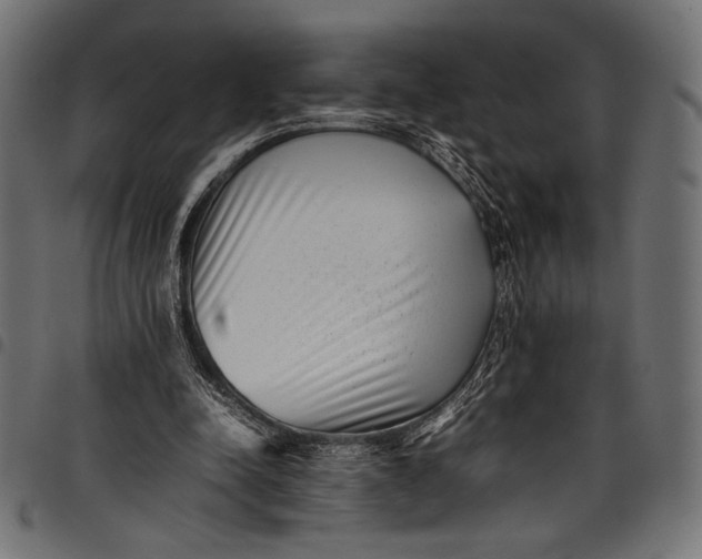 X0000097820342200803281126