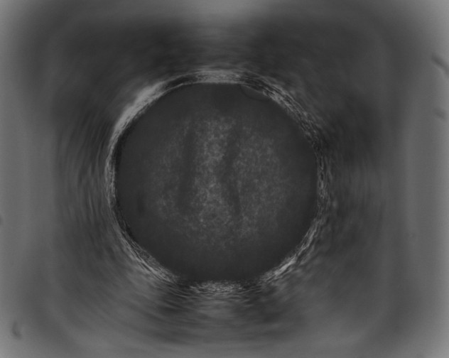 X0000097820343200803281126