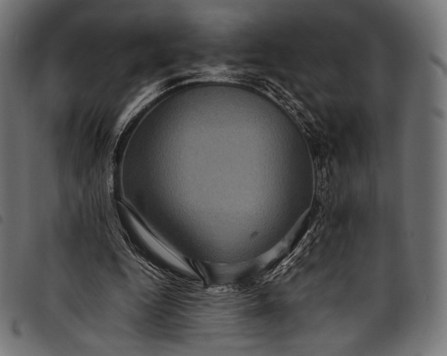 X0000097820344200803281126