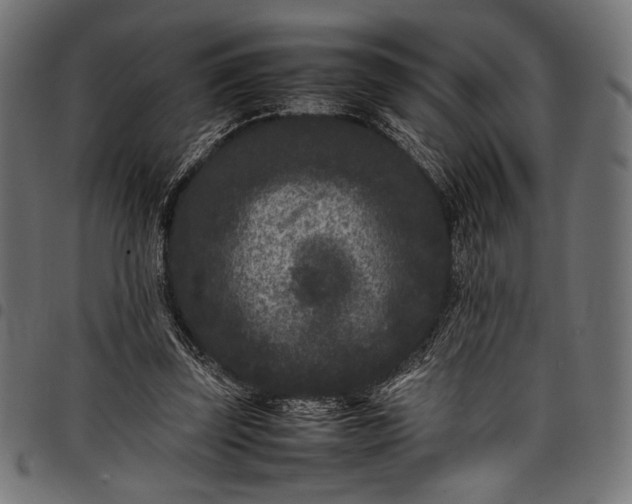 X0000097820347200803281126