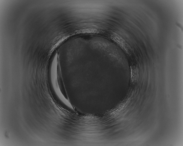 X0000097820348200803281126