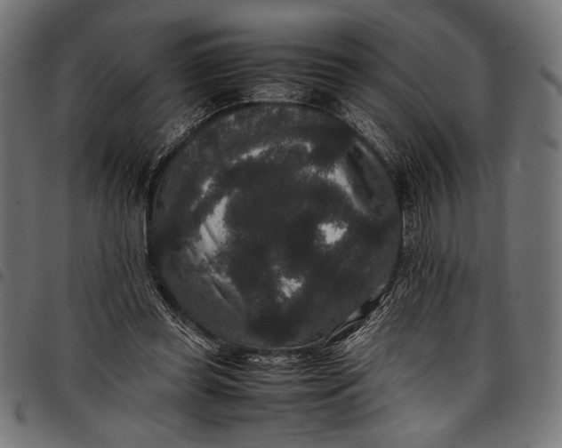 X0000097820349200803281126