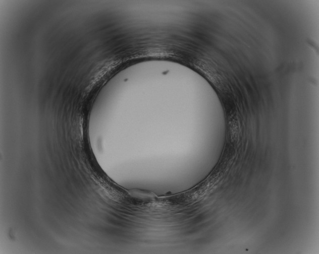 X0000097820350200803281126