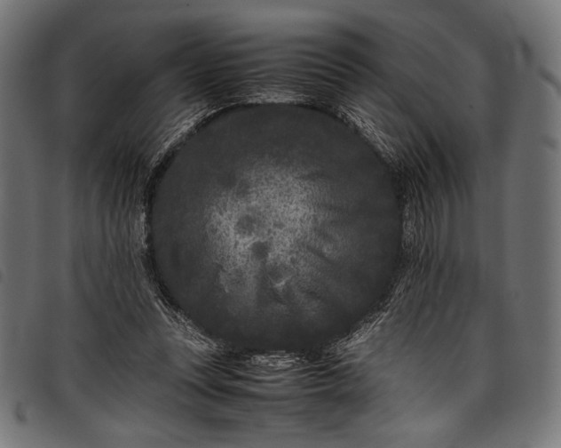 X0000097820351200803281126