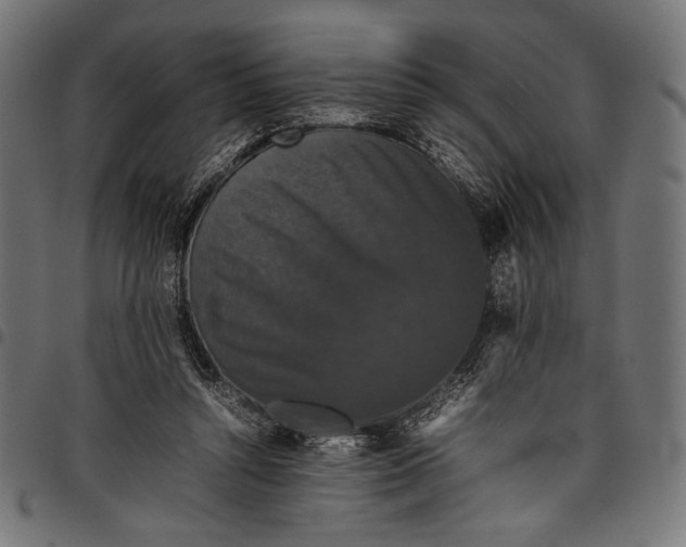 X0000097820352200803281126