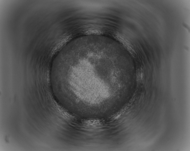 X0000097820353200803281126