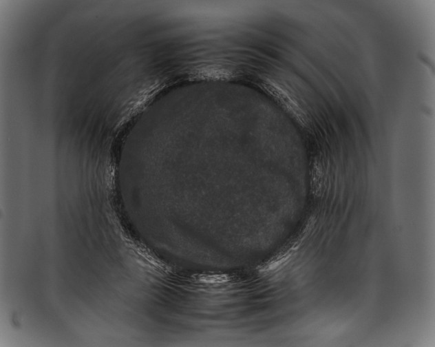 X0000097820355200803281126