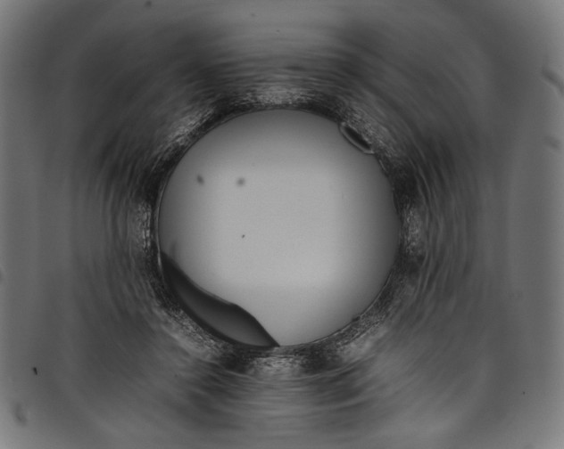 X0000097820356200803281126