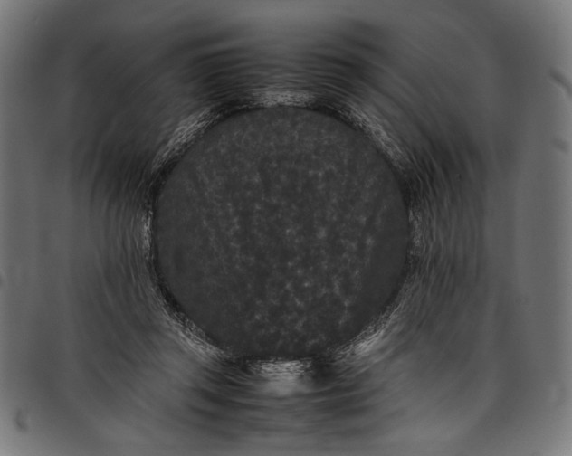 X0000097820357200803281126