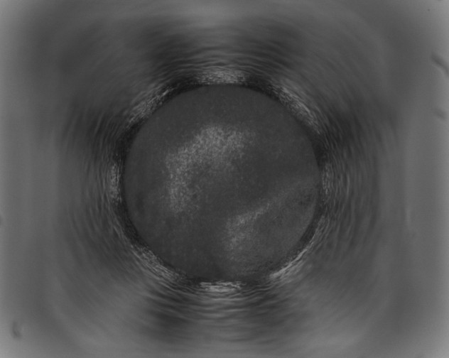 X0000097820359200803281126