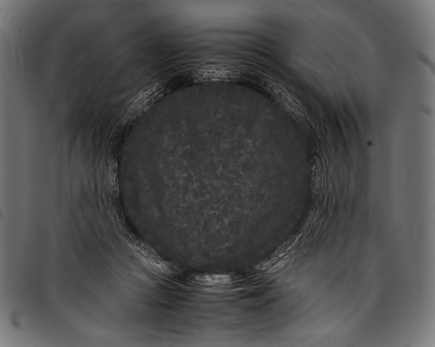 X0000097820361200803281126