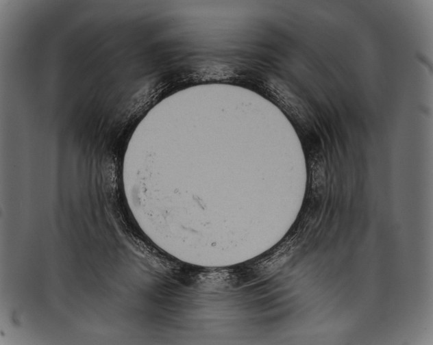 X0000097820362200803281126