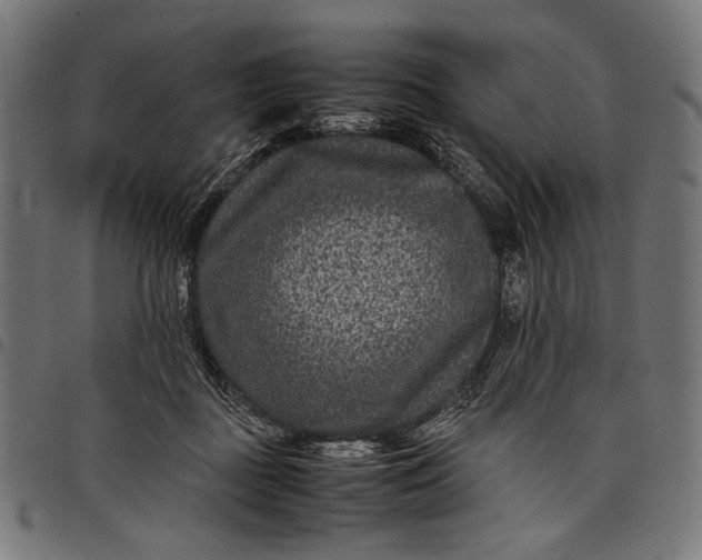 X0000097820363200803281126