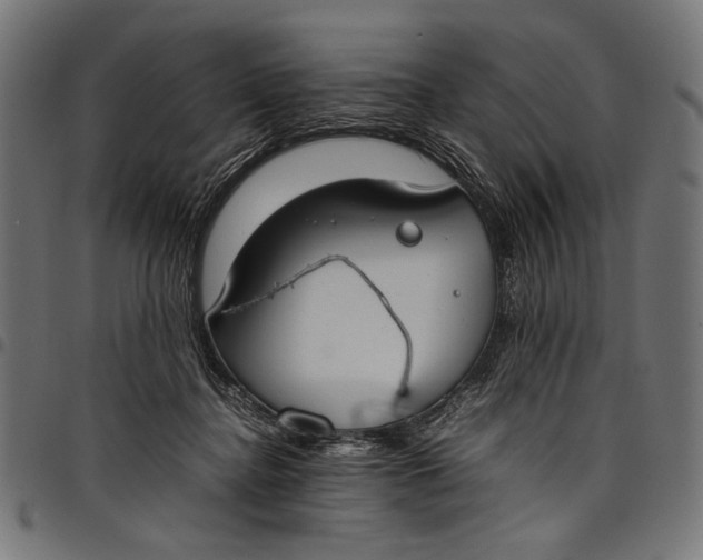 X0000097820364200803281126