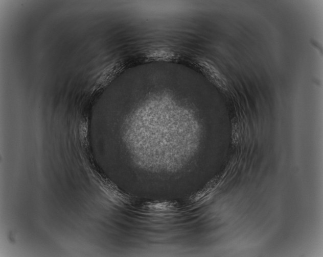 X0000097820365200803281126