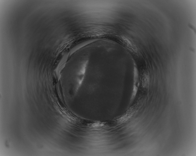 X0000097820366200803281126