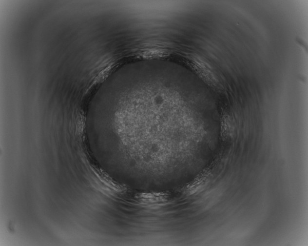 X0000097820367200803281126