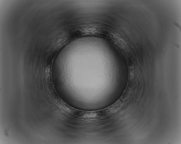 X0000097820369200803281126