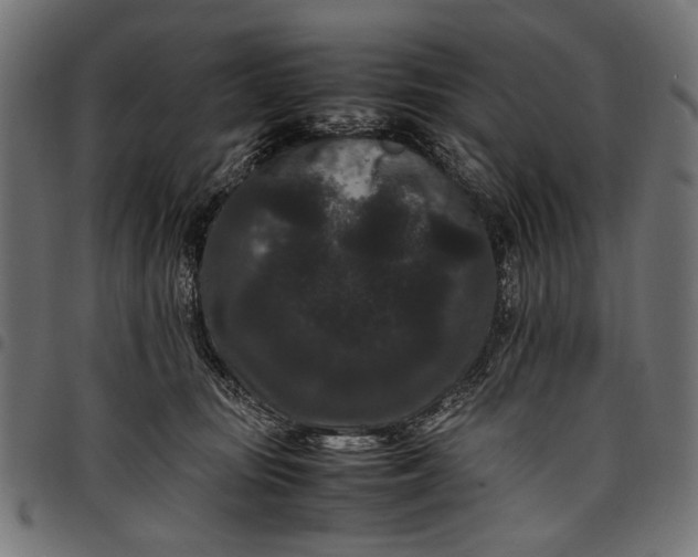 X0000097820371200803281126