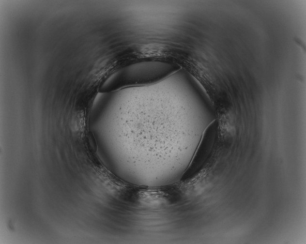 X0000097820372200803281126