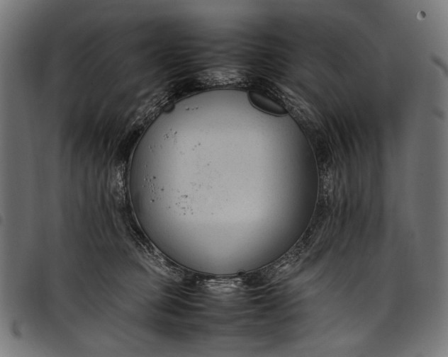 X0000097820373200803281126