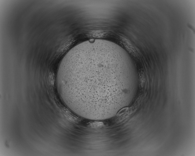 X0000097820374200803281126