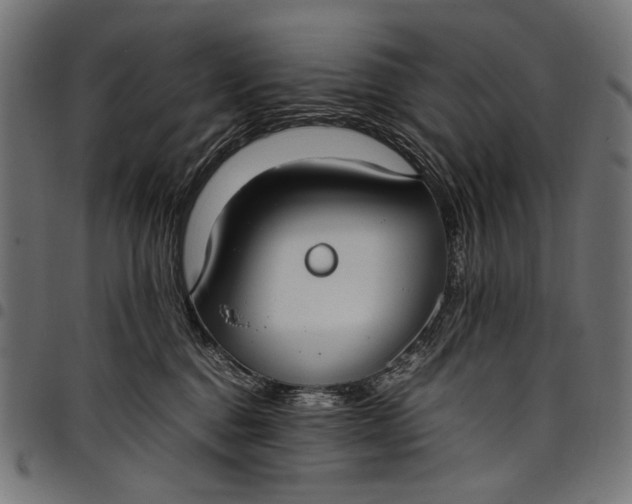 X0000097820376200803281126