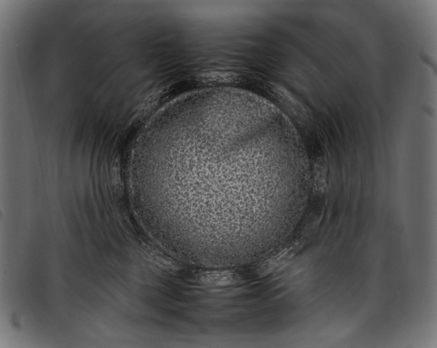 X0000097820377200803281126