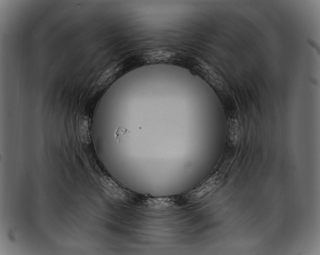 X0000097820378200803281126