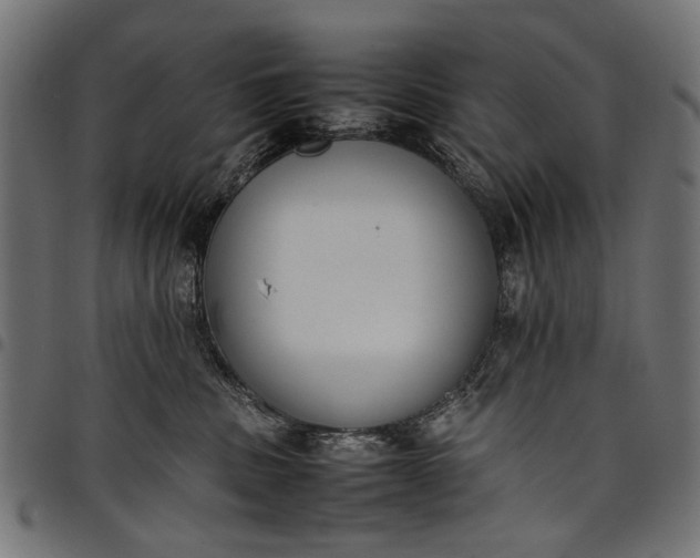 X0000097820379200803281126