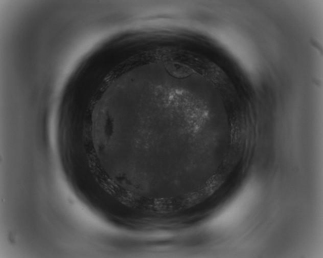 X0000097820383200803281126