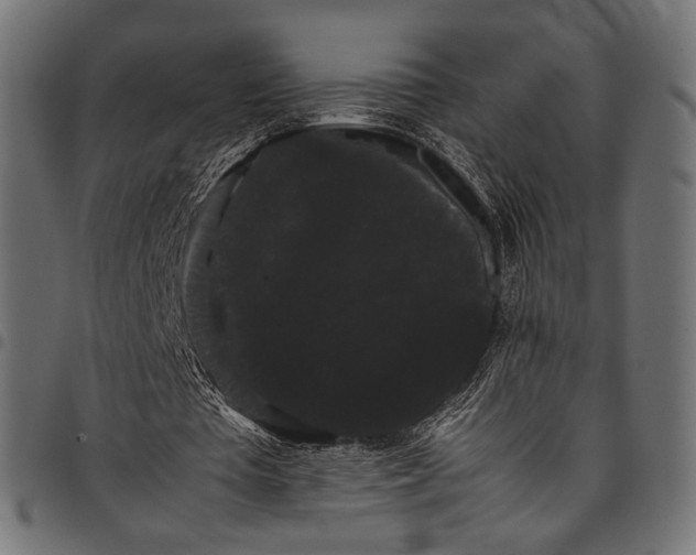 X0000097820385200803281126