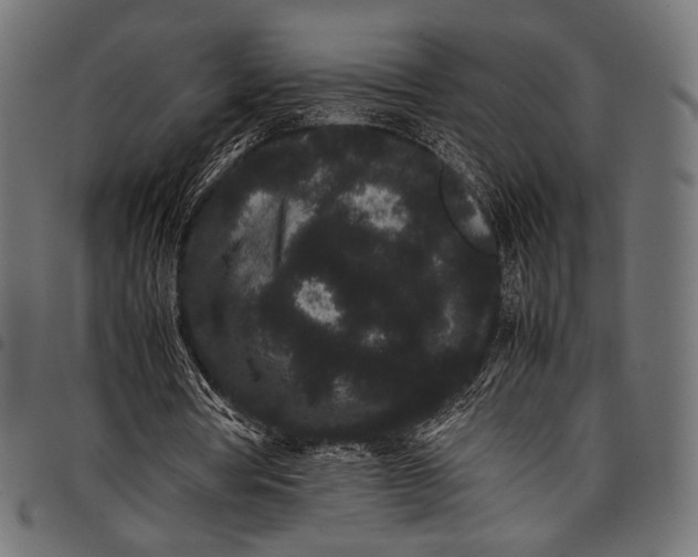 X0000097820386200803281126