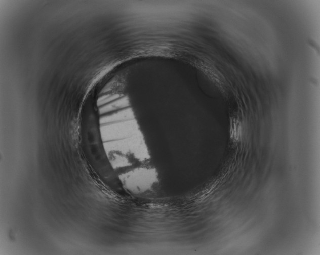 X0000097820388200803281126