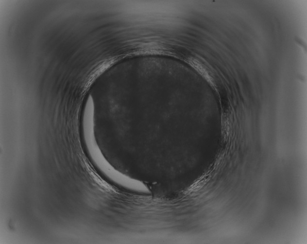 X0000097820389200803281126