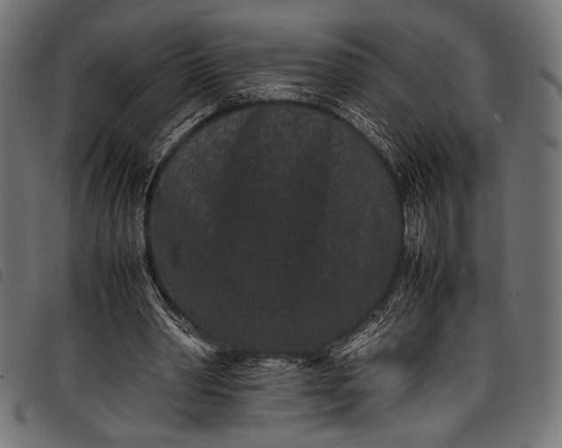 X0000097820390200803281126