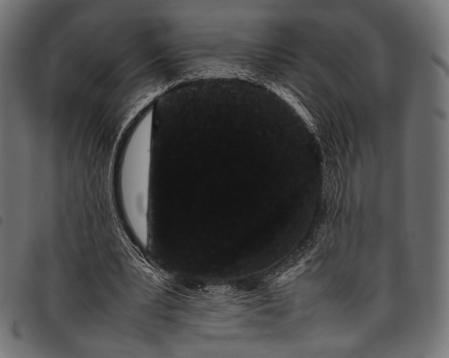 X0000097820391200803281126