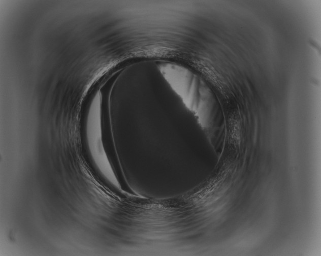 X0000097820392200803281126