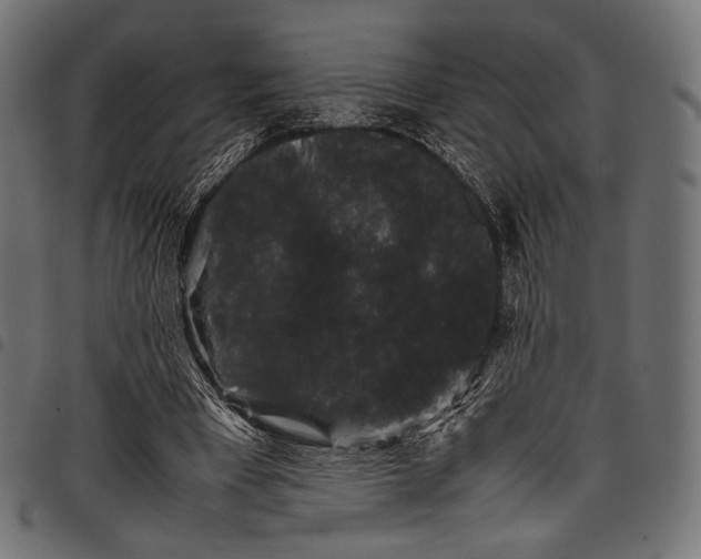 X0000097820393200803281126