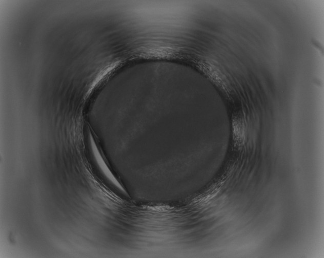 X0000097820396200803281126