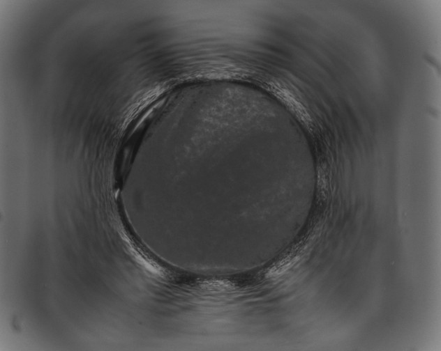 X0000097820397200803281126