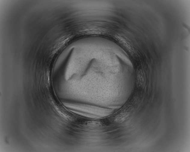 X0000097820398200803281126